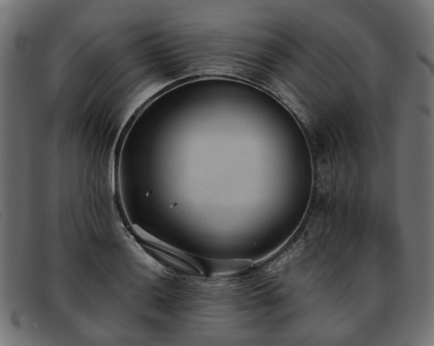X0000093591036200710151200