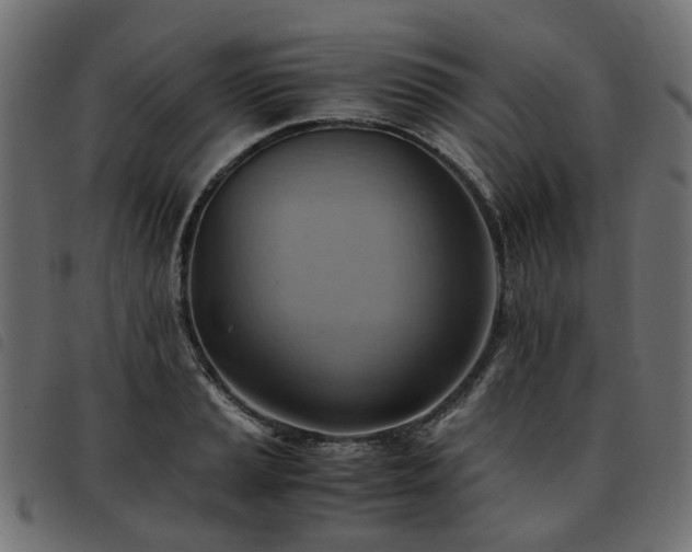 X0000093591037200710151200
