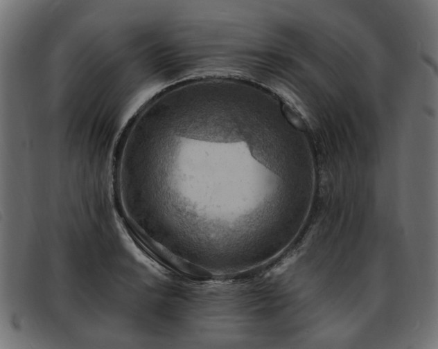 X0000093591038200710151200