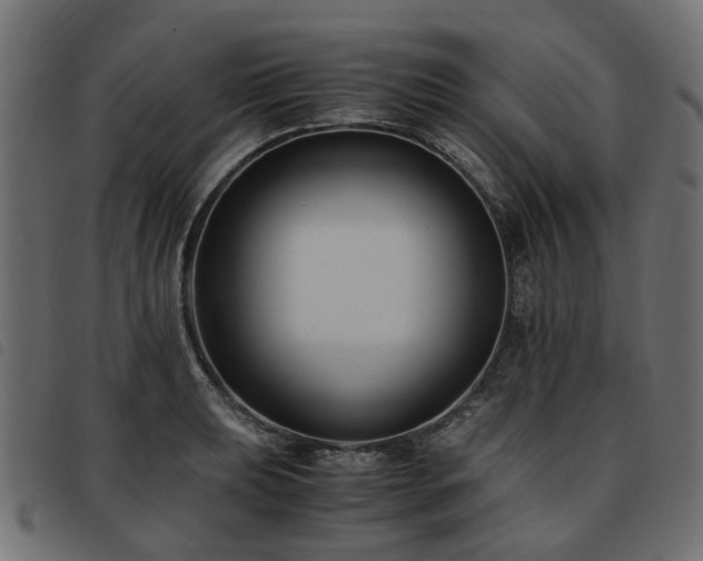X0000093591039200710151200