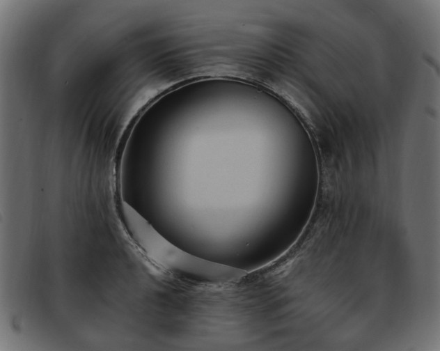 X0000093591040200710151200