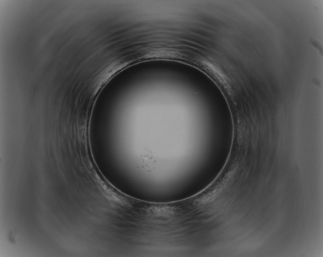 X0000093591041200710151200