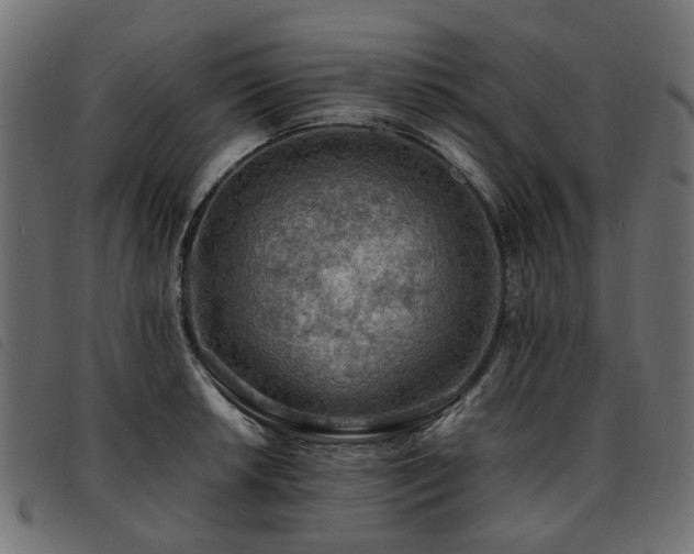 X0000093591042200710151200