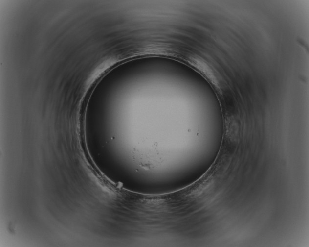 X0000093591043200710151200