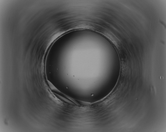 X0000093591044200710151200