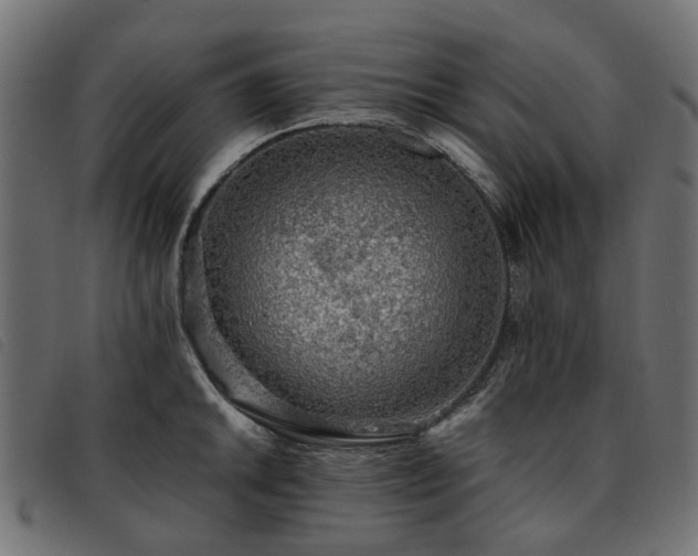 X0000093591046200710151200