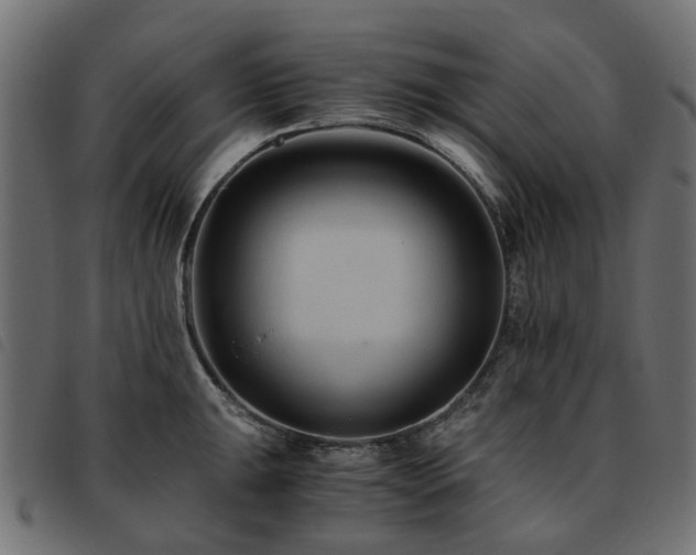 X0000093591047200710151200