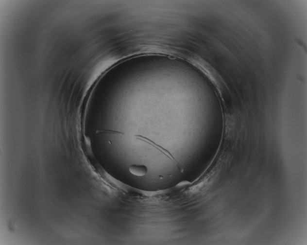 X0000093591048200710151200