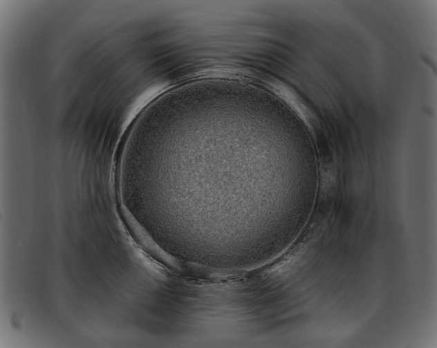 X0000093591050200710151200
