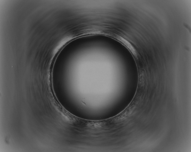 X0000093591051200710151200