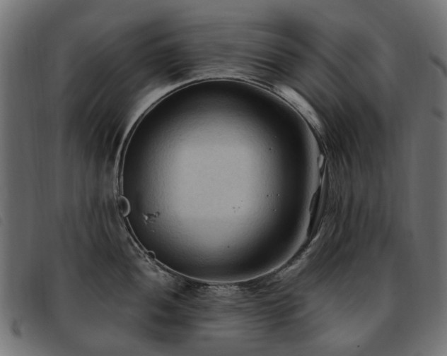 X0000093591052200710151200