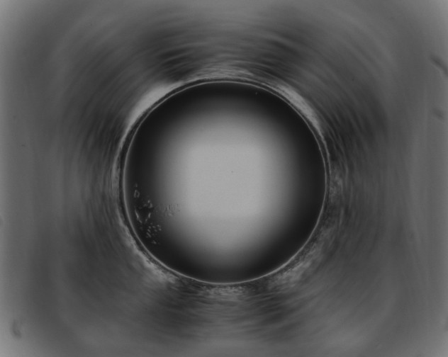X0000093591053200710151200