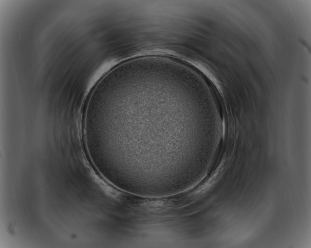 X0000093591054200710151200