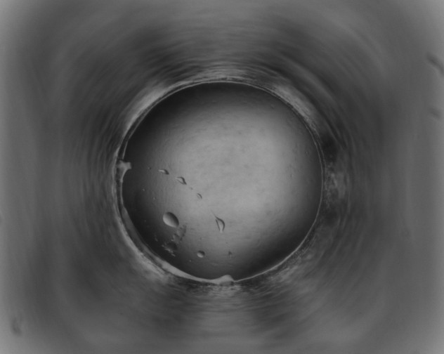 X0000093591055200710151200