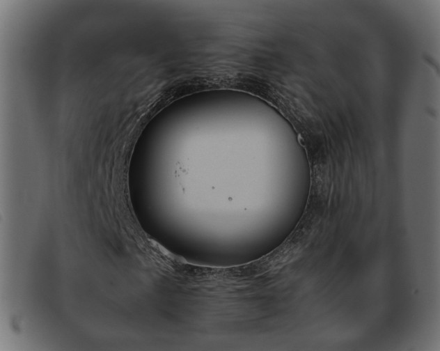 X0000093591057200710151200