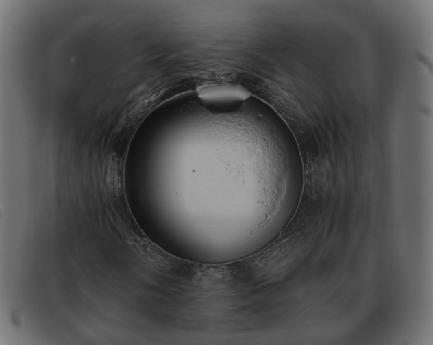 X0000093591058200710151200