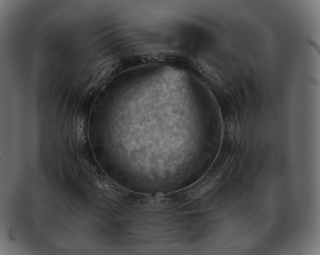 X0000093591060200710151200