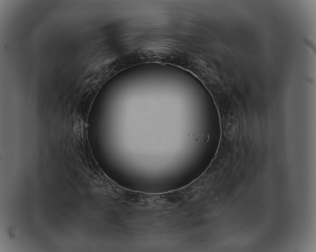 X0000093591061200710151200