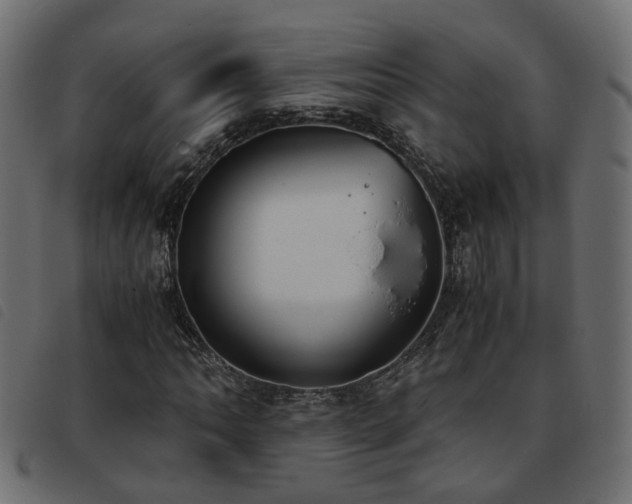 X0000093591062200710151200