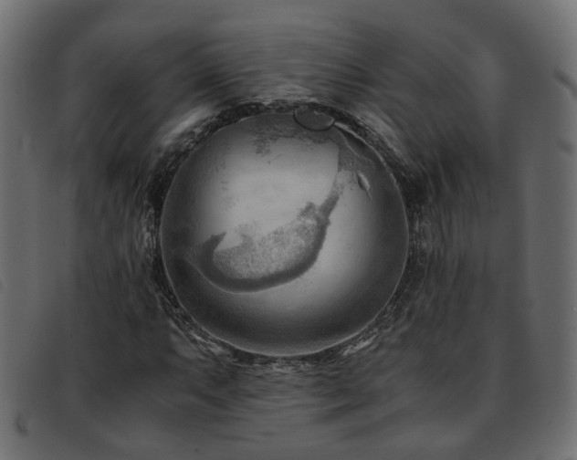 X0000093591063200710151200
