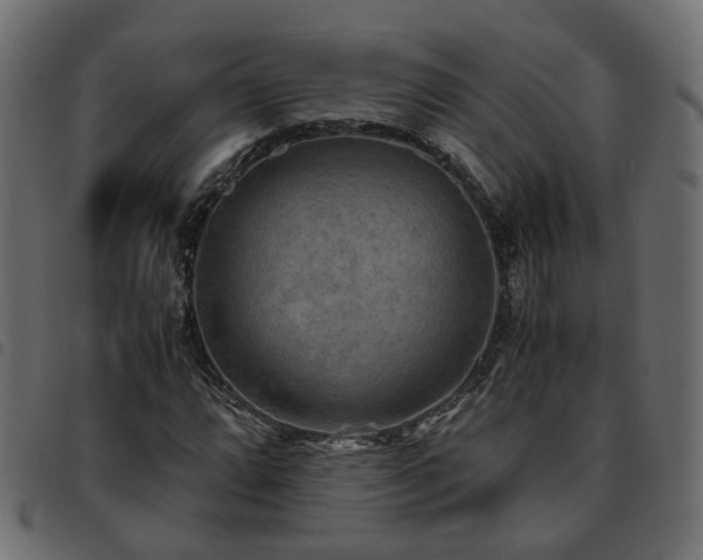X0000093591064200710151200