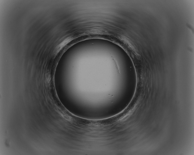 X0000093591065200710151200
