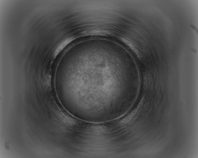 X0000093591066200710151200
