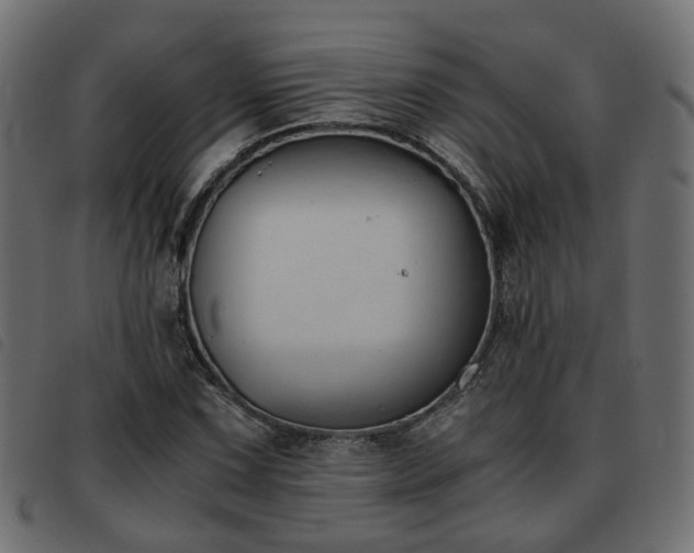 X0000093591067200710151200