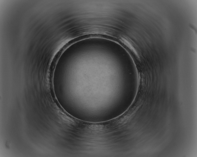 X0000093591068200710151159