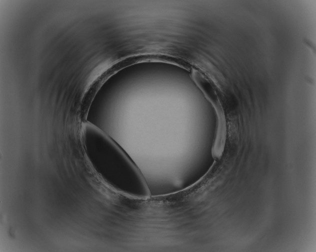 X0000093591069200710151159