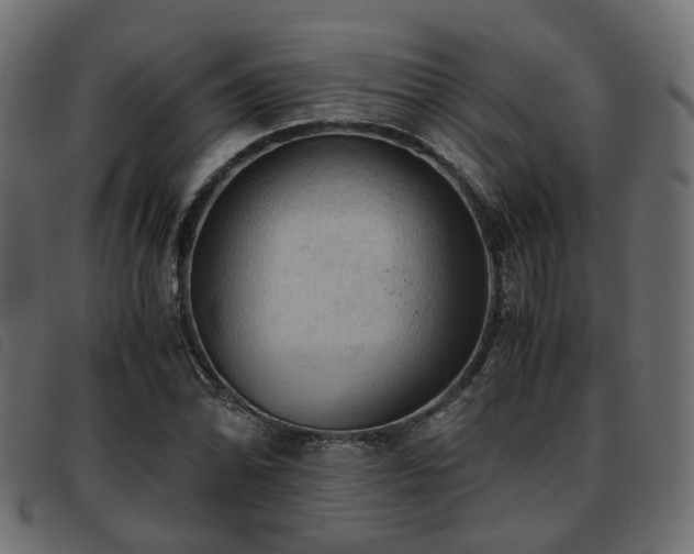 X0000093591070200710151159