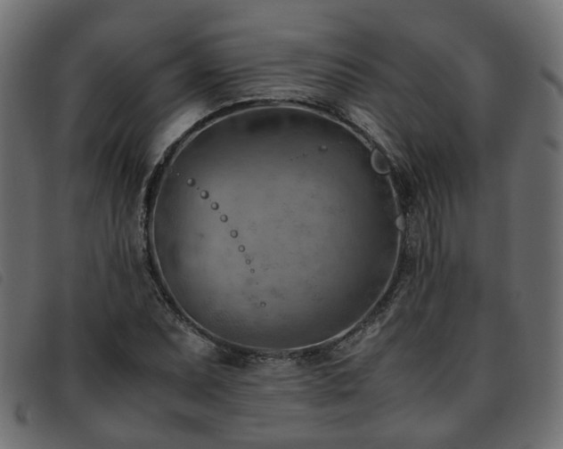 X0000093591071200710151159