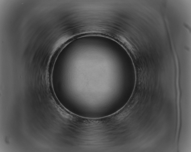 X0000093591072200710151159