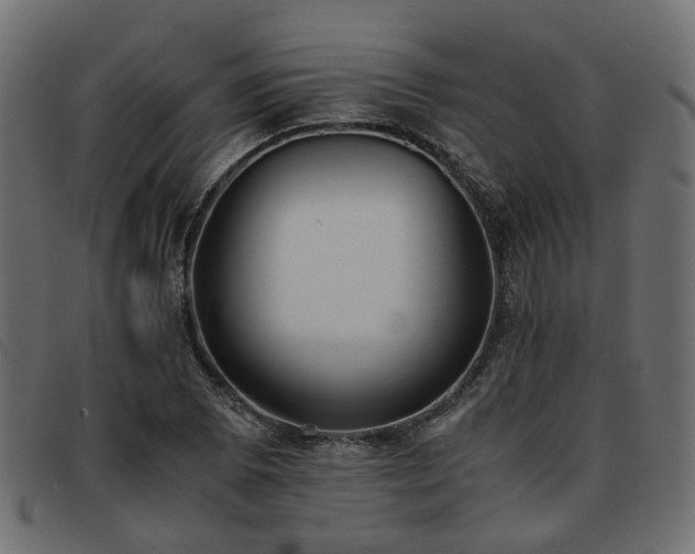 X0000093591073200710151159