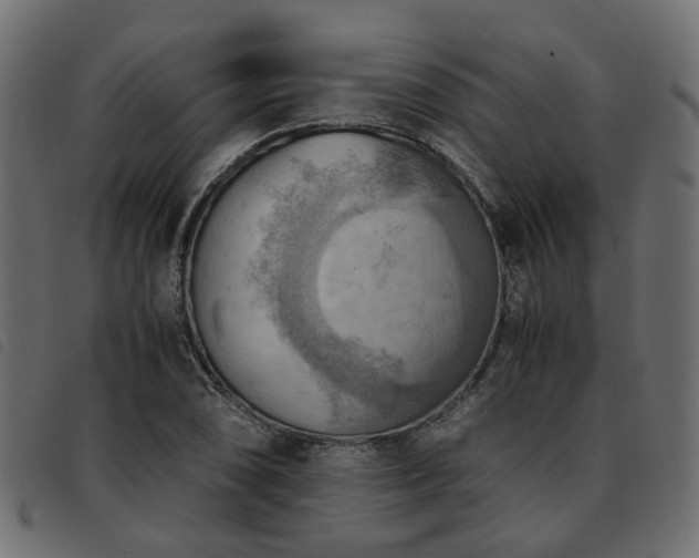 X0000093591074200710151159