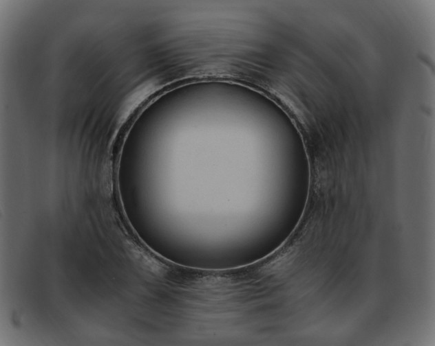X0000093591075200710151159