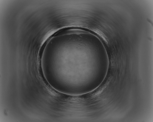 X0000093591077200710151159