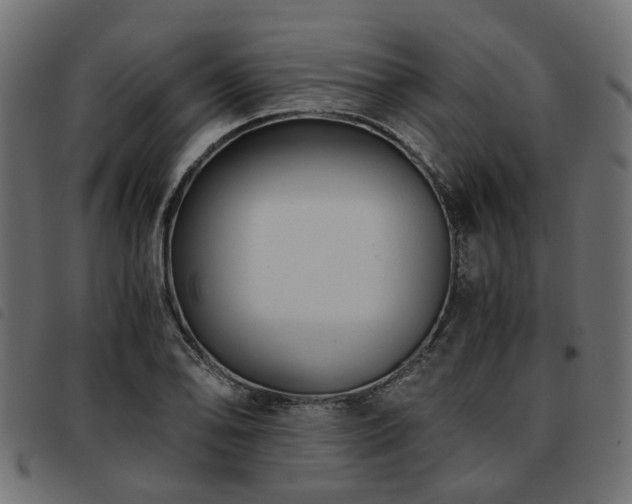 X0000093591078200710151159