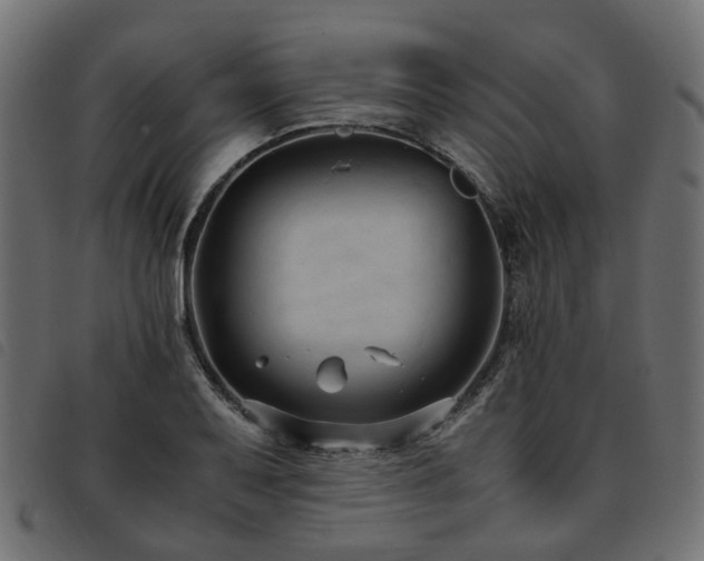 X0000093591079200710151159