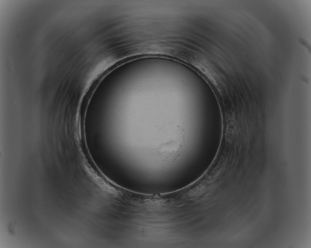 X0000093591080200710151159