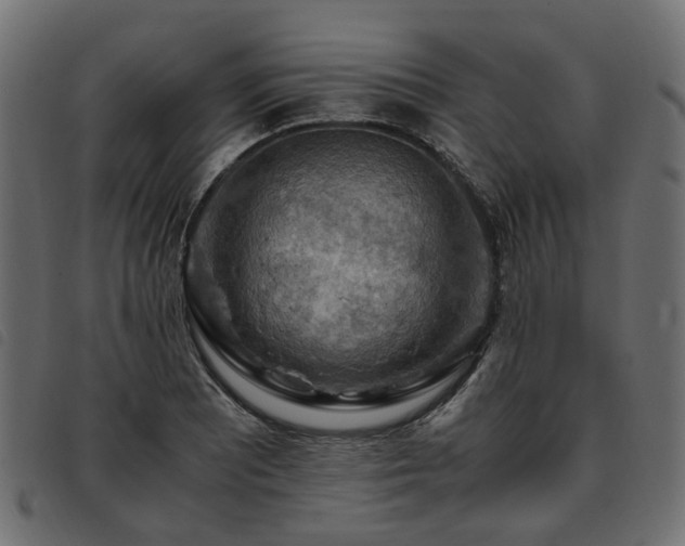 X0000093591081200710151159