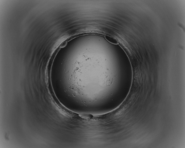 X0000093591082200710151159