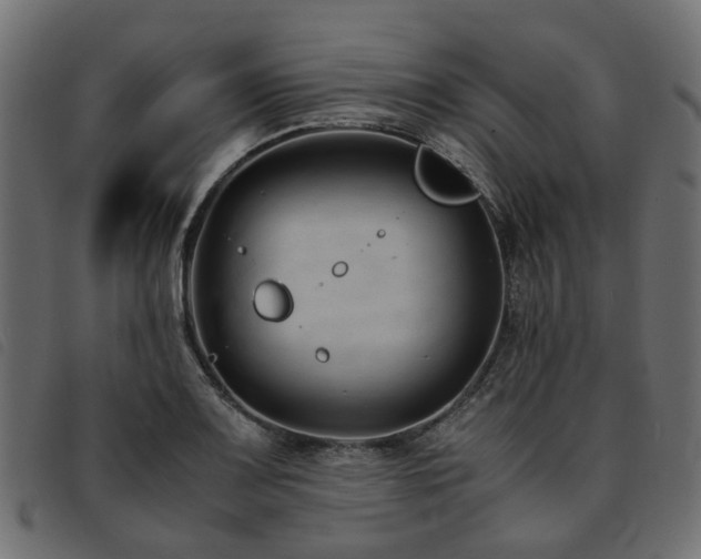 X0000093591083200710151159