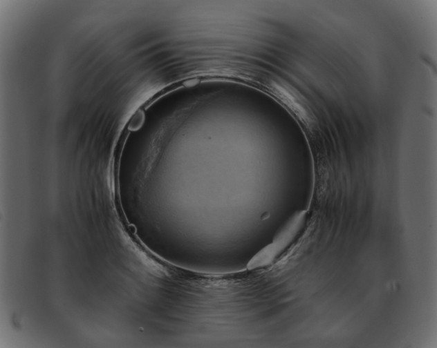 X0000093591084200710151159