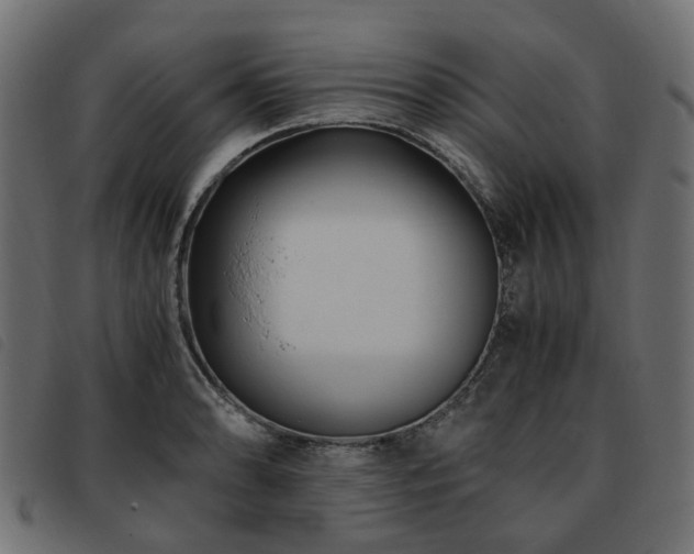 X0000093591086200710151159
