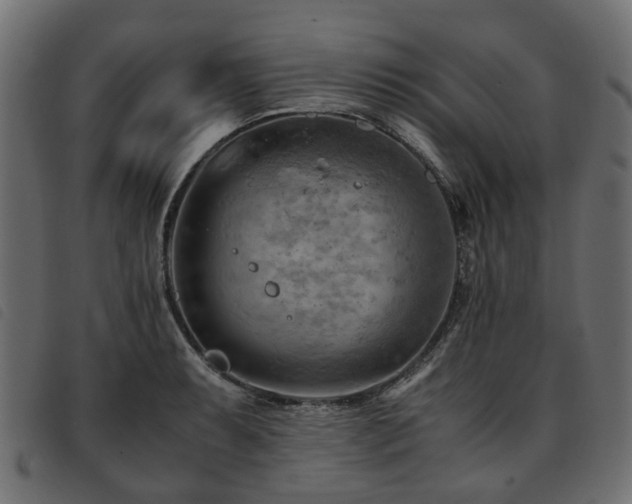 X0000093591087200710151159