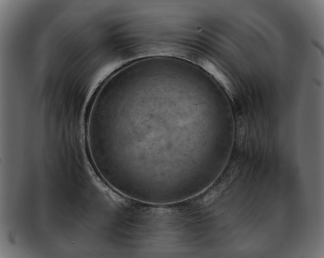 X0000093591088200710151159