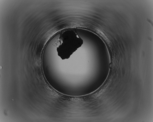 X0000093591089200710151159
