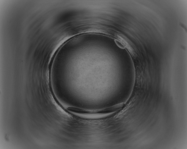 X0000093591092200710151159