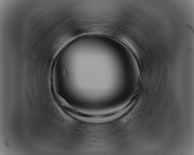 X0000093591093200710151159
